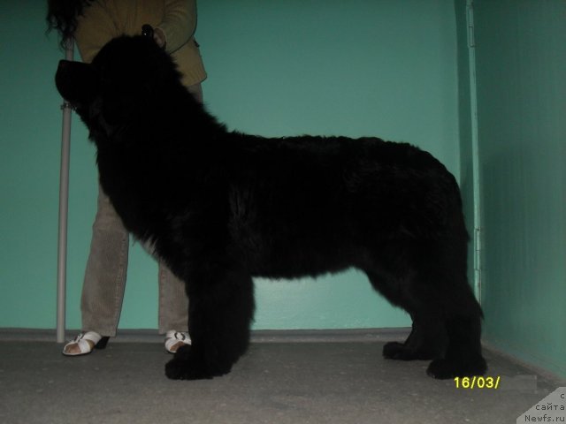 Фотография № 61647