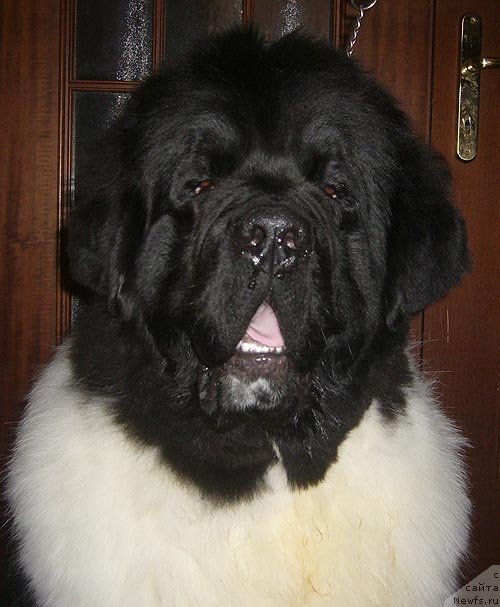 Фотография № 61651