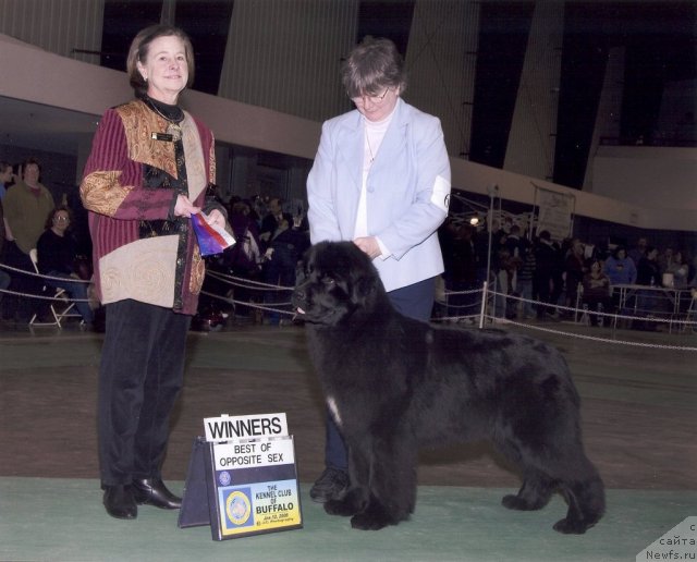 Фотография № 61653