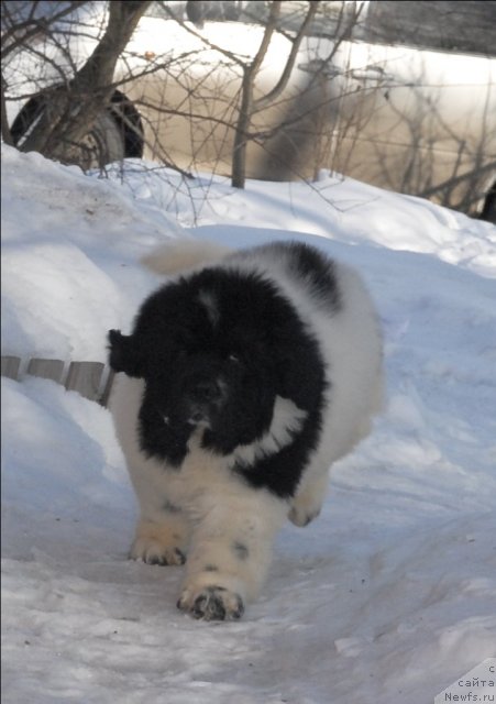 Фотография № 61658