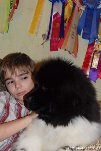 Фотография № 61660