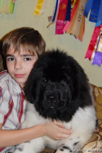 Фотография № 61661