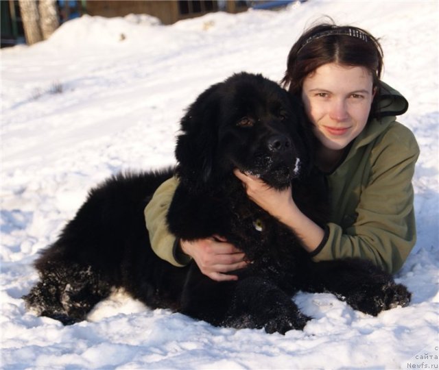 Фотография № 61707