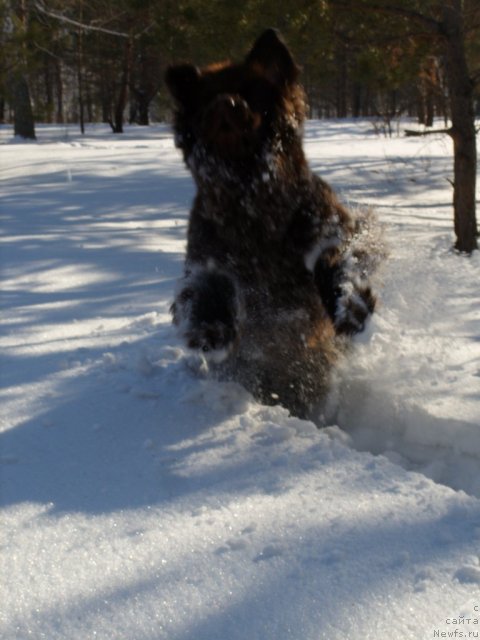 Фотография № 61739