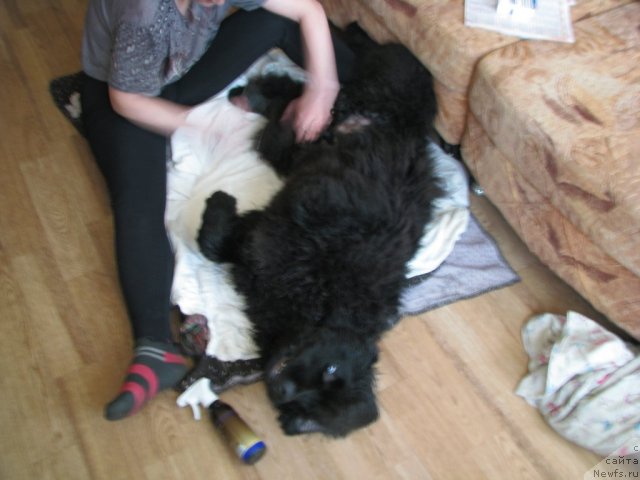 Фотография № 61753