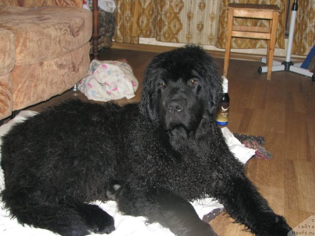 Фотография № 61754