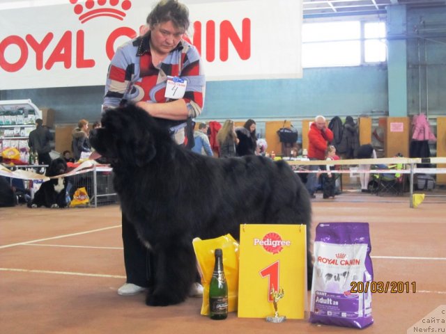 Фотография № 61858