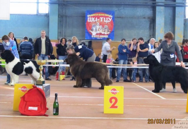 Фотография № 61889