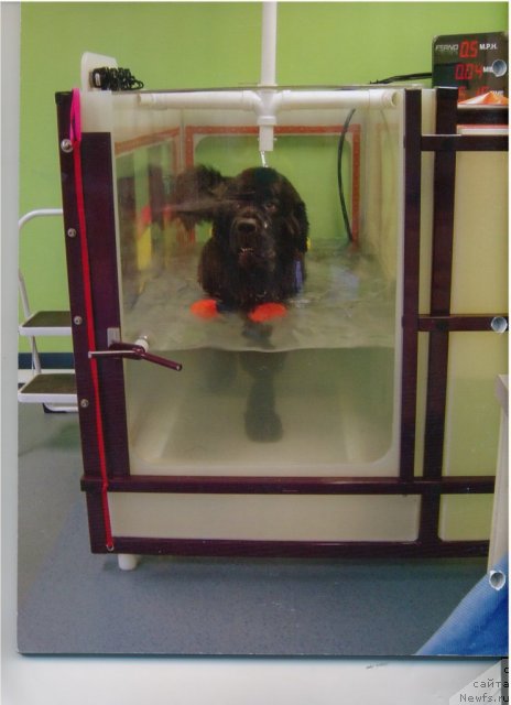 Фотография № 61917