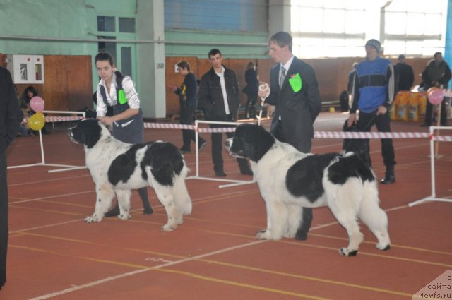 Фотография № 61920