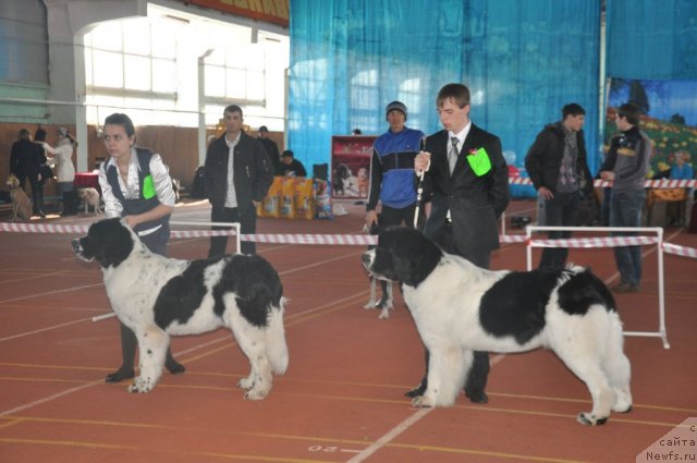 Фотография № 61921