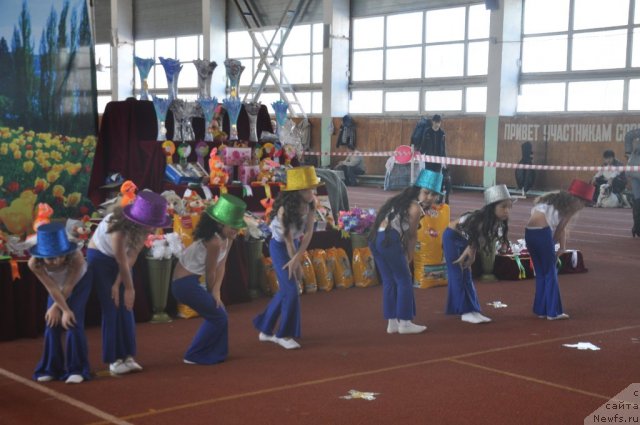 Фотография № 61928