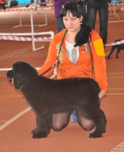 Фотография № 61931