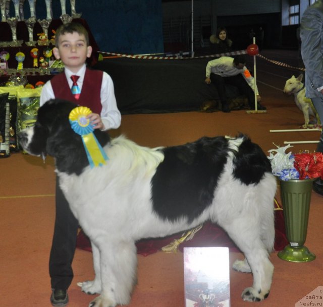 Фотография № 61938