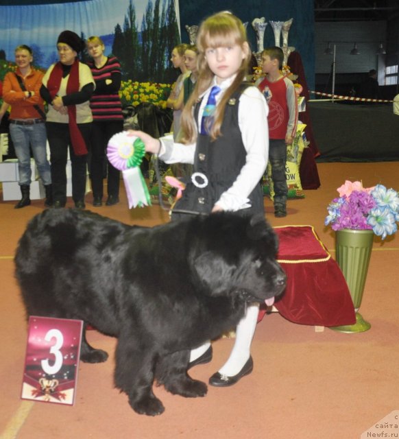 Фотография № 61939