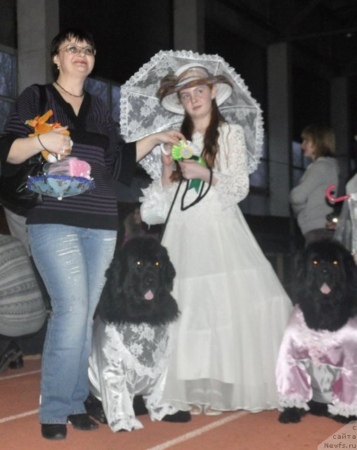 Фотография № 61945