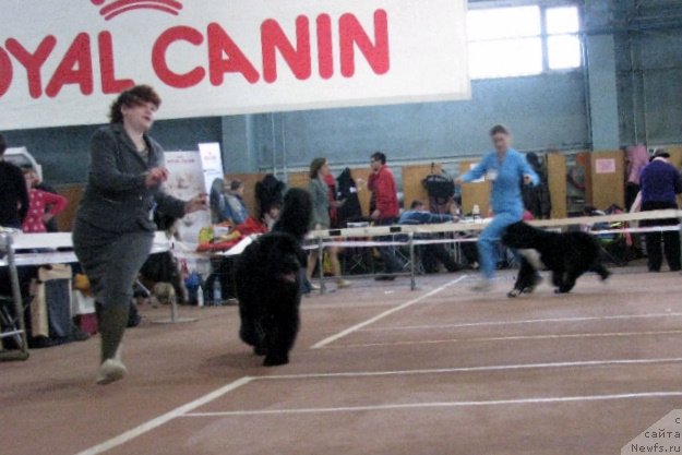 Фотография № 61975