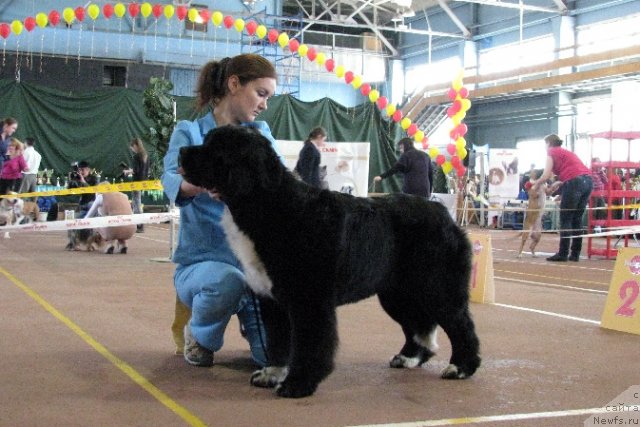 Фотография № 61976