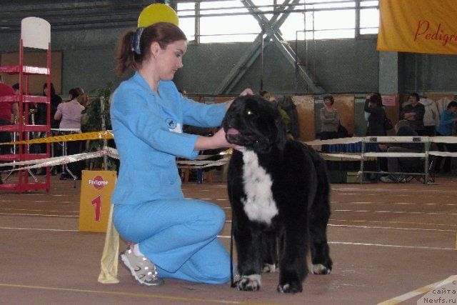 Фотография № 61977