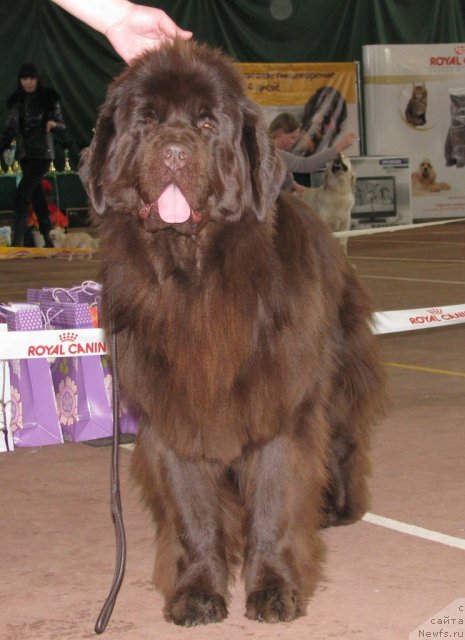 Фотография № 62004