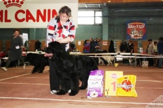 Фотография № 62020