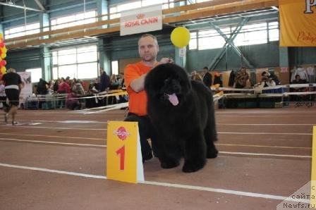 Фотография № 62022