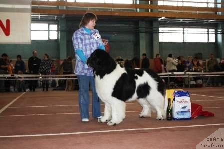 Фотография № 62028