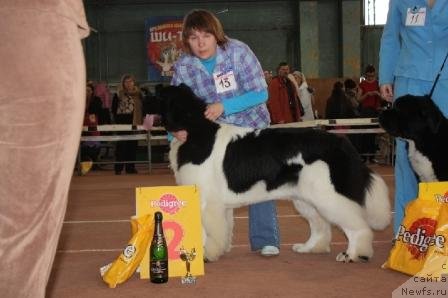 Фотография № 62060