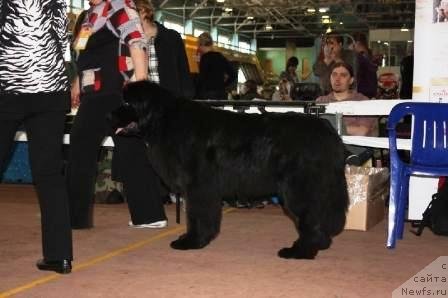 Фотография № 62063