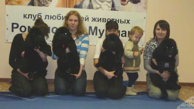 Фотография № 62065