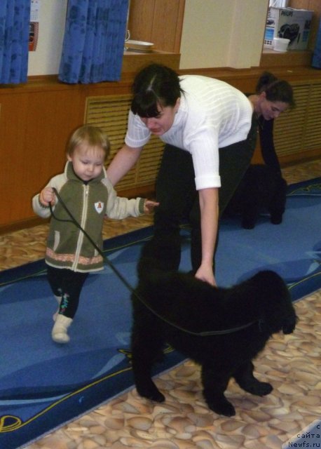 Фотография № 62069