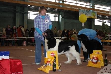 Фотография № 62071