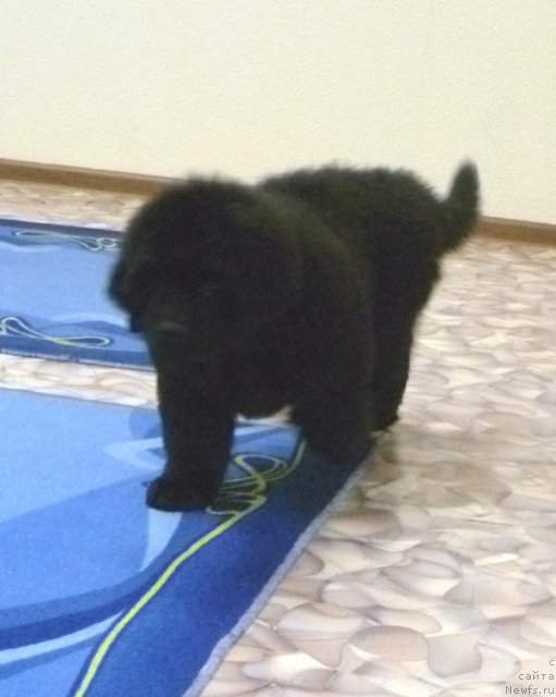 Фотография № 62072