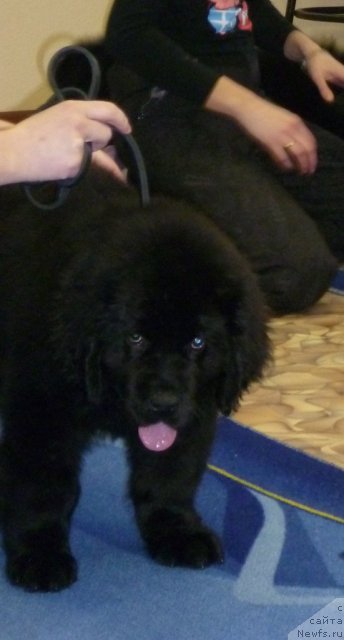 Фотография № 62073