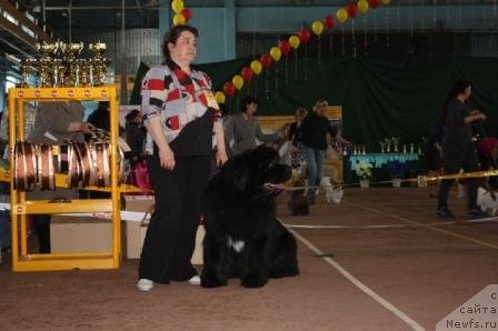 Фотография № 62077