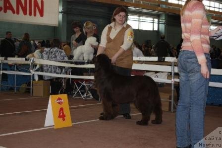 Фотография № 62079