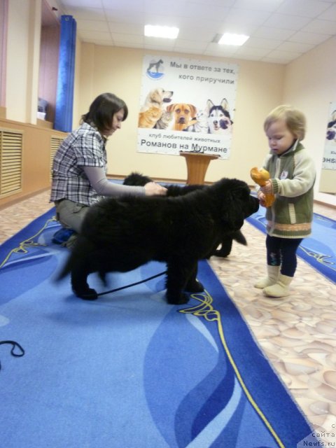 Фотография № 62081