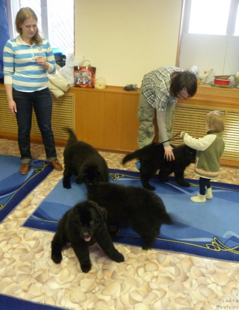 Фотография № 62084