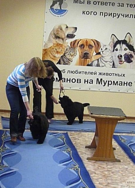 Фотография № 62085