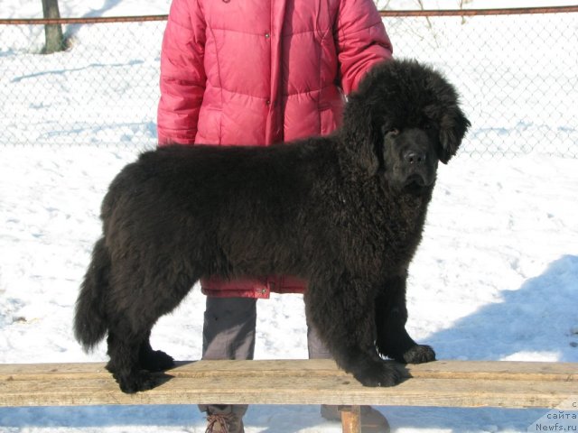 Фотография № 62087