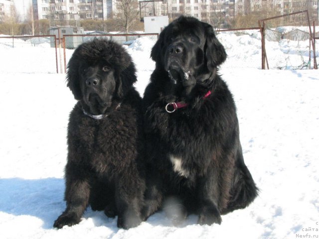 Фотография № 62089