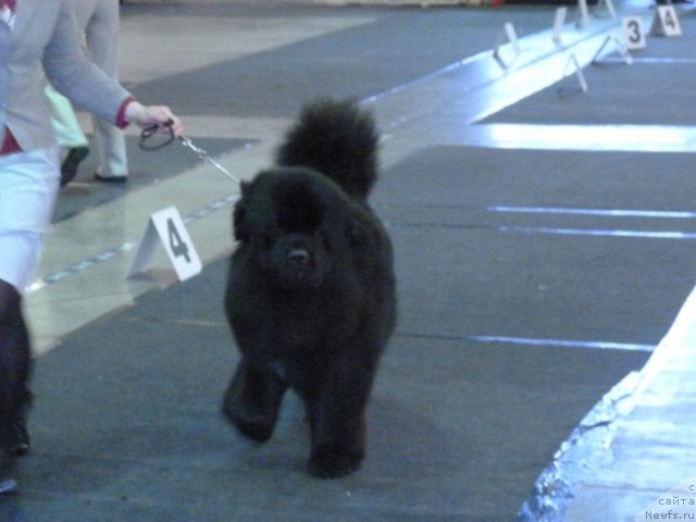 Фотография № 62108