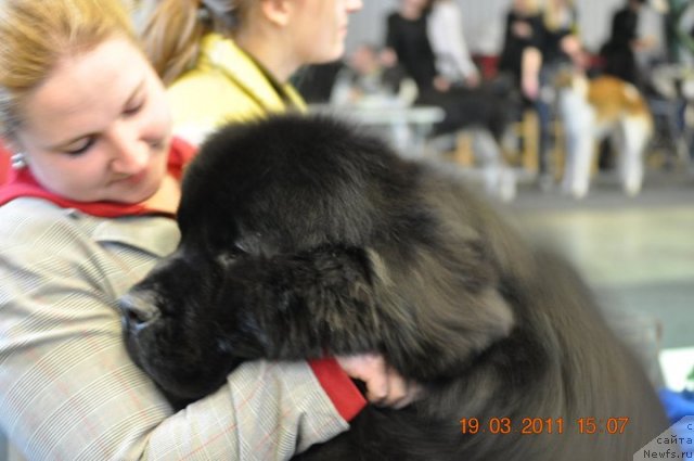 Фотография № 62109