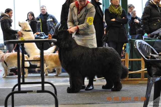 Фотография № 62110