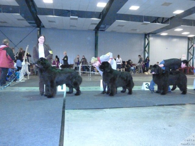 Фотография № 62112