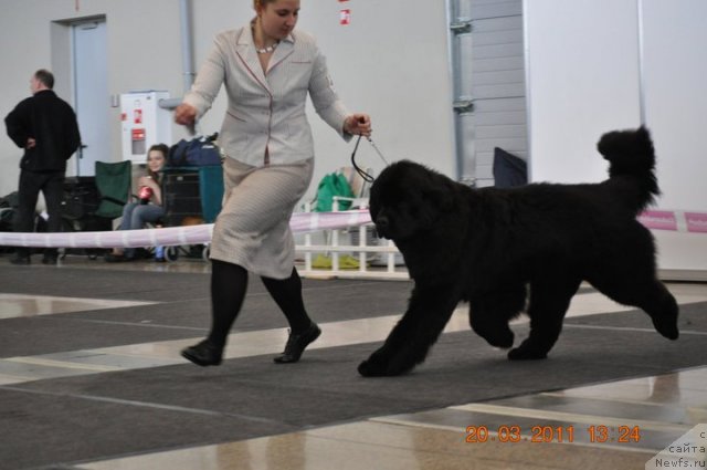 Фотография № 62114