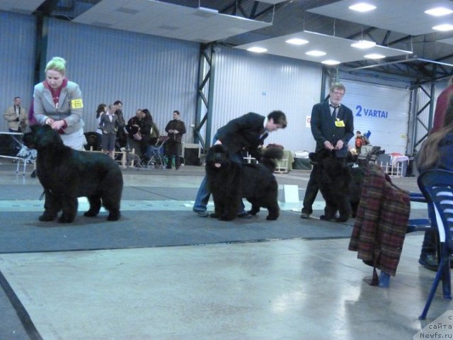 Фотография № 62117