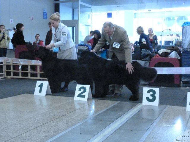 Фотография № 62118