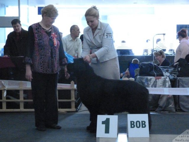 Фотография № 62119