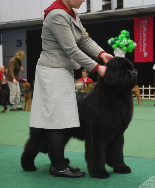 Фотография № 62120